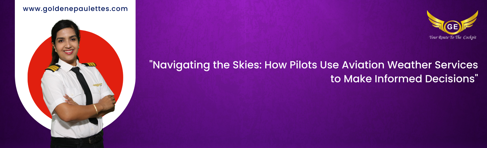The Use of Aviation Weather Services by Pilots