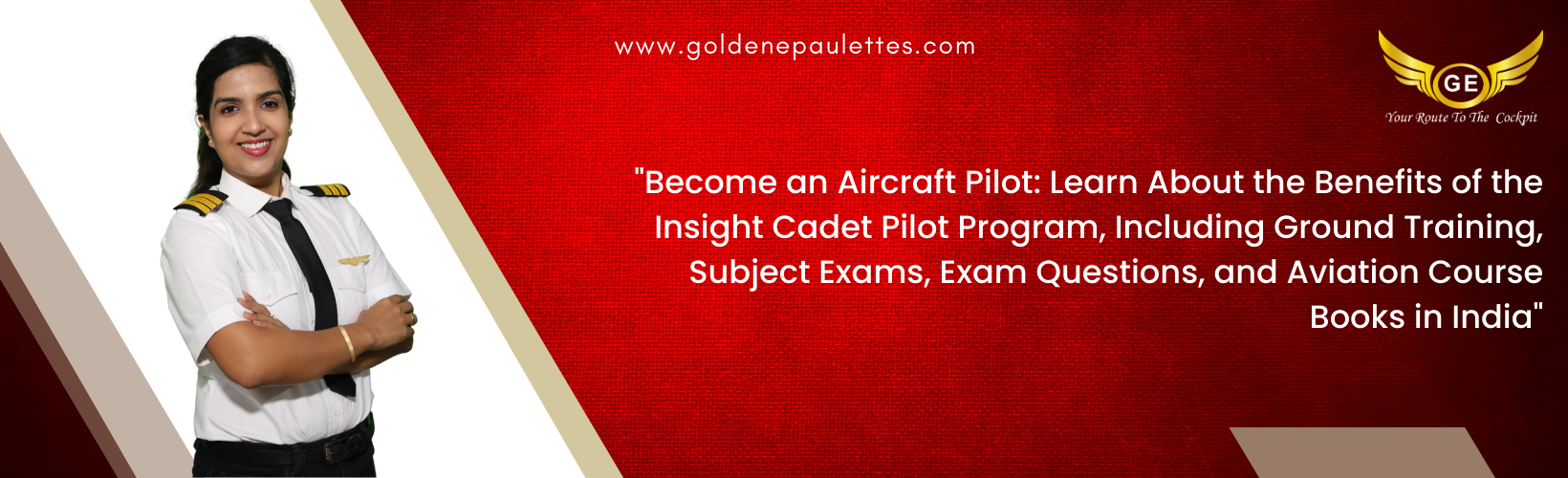 Benefits of the Insight Cadet Pilot Program